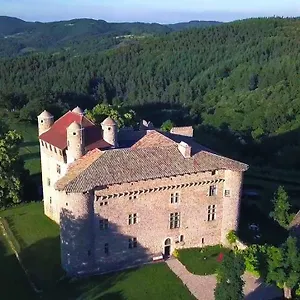 Chateau De Maisonseule *** Saint-Basile